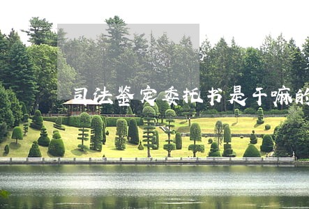 司法鉴定委托书是干嘛的 司法鉴定委托书是干嘛的
