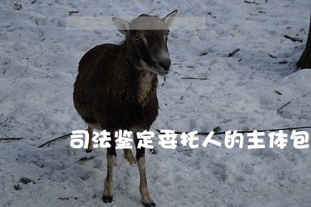 司法鉴定委托人的主体包括哪些