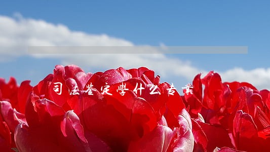 司法鉴定学什么专业 司法鉴定学什么专业
