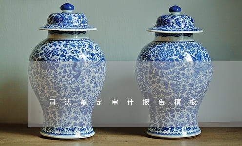 司法鉴定审计报告模板 司法鉴定审计报告模板
