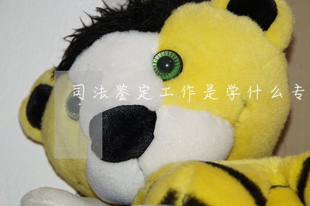 司法鉴定工作是学什么专业的 司法鉴定工作是学什么专业的