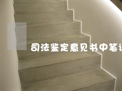司法鉴定意见书中笔误处理 司法鉴定意见书中笔误处理