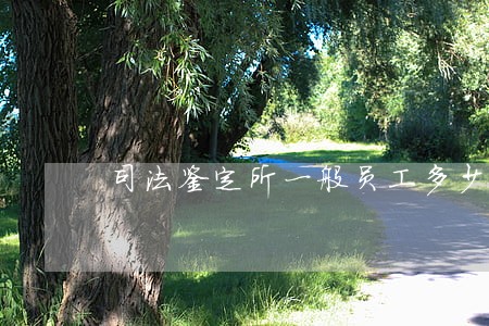 司法鉴定所一般员工多少人 司法鉴定所一般员工多少人