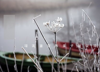 司法鉴定所亲子鉴定流程 司法鉴定所亲子鉴定流程