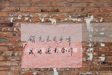 司法鉴定所在哪里的 司法鉴定所在哪里的
