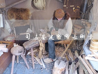 司法鉴定所所长职责 司法鉴定所所长职责
