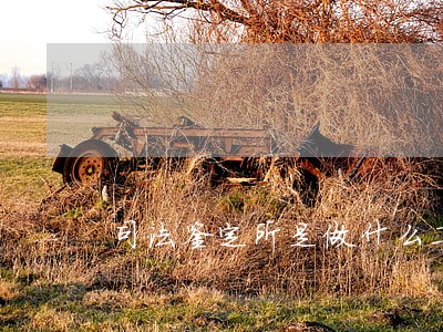 司法鉴定所是做什么工作的 司法鉴定所是做什么工作的