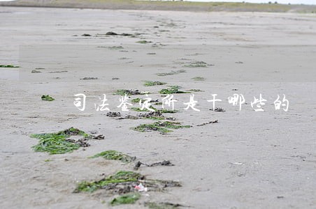 司法鉴定所是干哪些的 司法鉴定所是干哪些的
