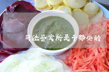 司法鉴定所是干那些的 司法鉴定所是干那些的