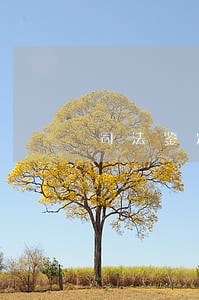司法鉴定所法律援助制度 司法鉴定所法律援助制度