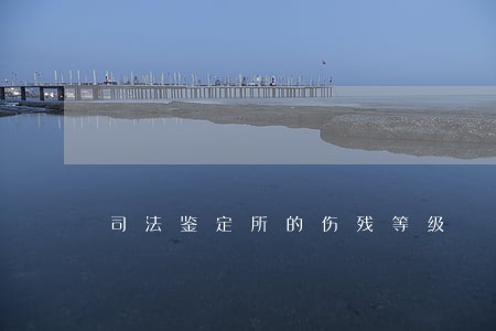 司法鉴定所的伤残等级 司法鉴定所的伤残等级