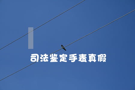司法鉴定手表真假