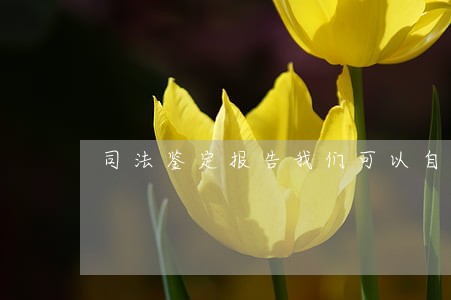 司法鉴定报告我们可以自己拿吗 司法鉴定报告我们可以自己拿吗