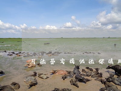 司法鉴定提供法律援助 司法鉴定提供法律援助