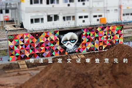 司法鉴定文证审查意见的示范文本 司法鉴定文证审查意见的示范文本