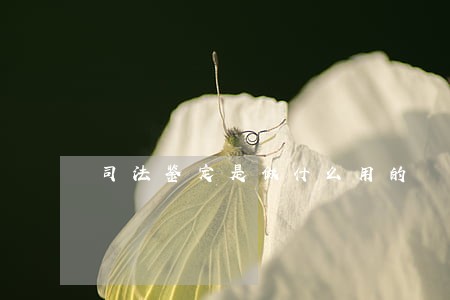 司法鉴定是做什么用的