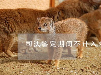 司法鉴定期间不计入办案期限 司法鉴定期间不计入办案期限