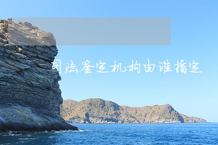 司法鉴定机构由谁指定