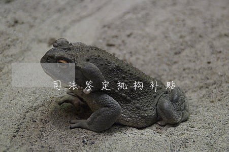 司法鉴定机构补贴 司法鉴定机构补贴
