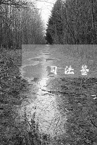 司法鉴定概论ppt 司法鉴定概论ppt