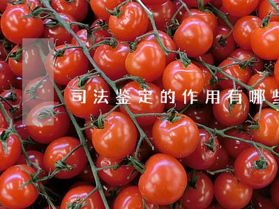 司法鉴定的作用有哪些 司法鉴定的作用有哪些