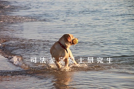 司法鉴定硕士研究生 司法鉴定硕士研究生