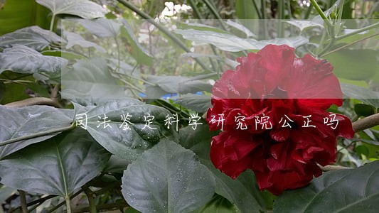 司法鉴定科学研究院公正吗