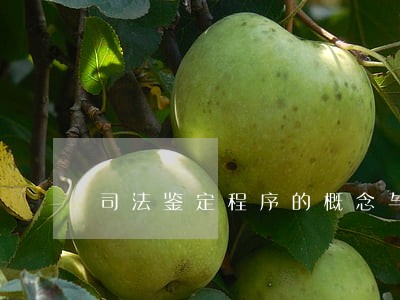司法鉴定程序的概念与功能是什么 司法鉴定程序的概念与功能是什么