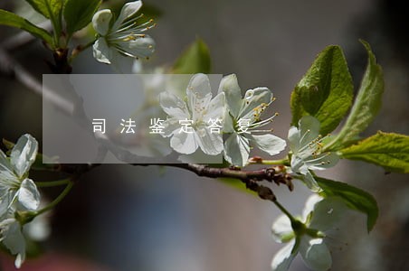 司法鉴定答复