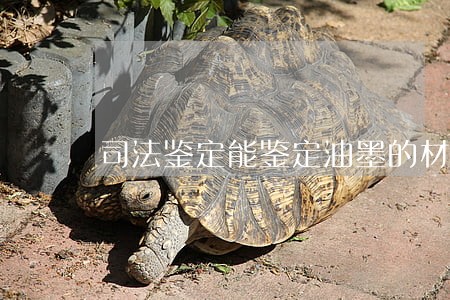 司法鉴定能鉴定油墨的材质吗 司法鉴定能鉴定油墨的材质吗