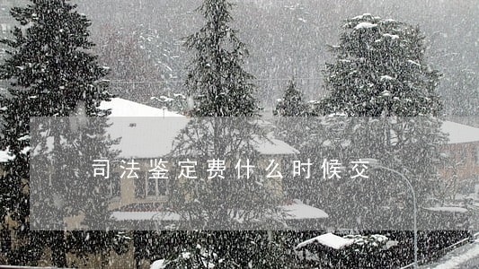 司法鉴定费什么时候交