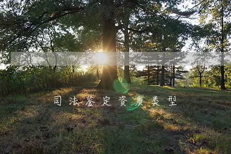 司法鉴定资质类型