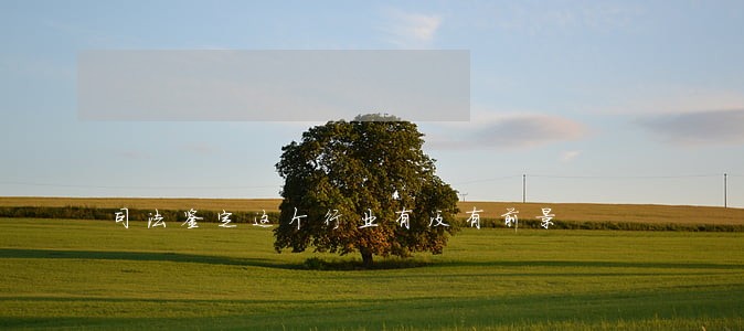 司法鉴定这个行业有没有前景 司法鉴定这个行业有没有前景