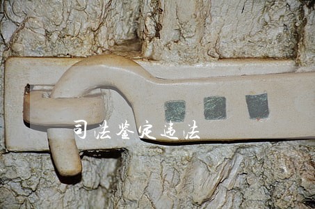 司法鉴定违法 司法鉴定违法