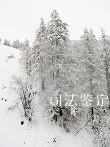 司法鉴定都是谁 司法鉴定都是谁
