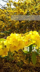 司法鉴定防疫 司法鉴定防疫