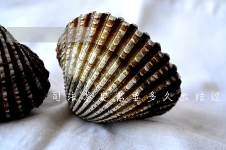 司法鉴定需要多久出结过 司法鉴定需要多久出结过