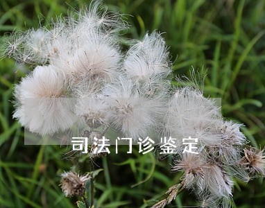 司法门诊鉴定 司法门诊鉴定