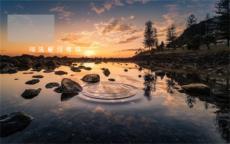 司法雇员等级
