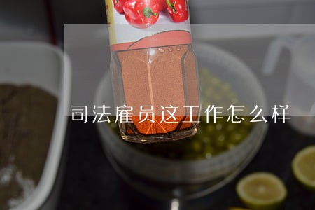 司法雇员这工作怎么样 司法雇员这工作怎么样