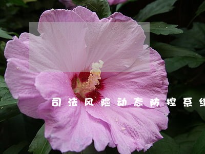 司法风险动态防控系统 司法风险动态防控系统