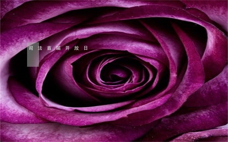 司法首届开放日 司法首届开放日
