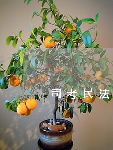 司考民法经验 司考民法经验