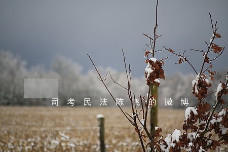 司考民法陈飞的微博 司考民法陈飞的微博