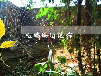 吃蝙蝠违法嘛 吃蝙蝠违法嘛