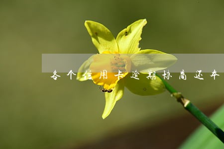 各个信用卡逾期协商还本金 各个信用卡逾期协商还本金
