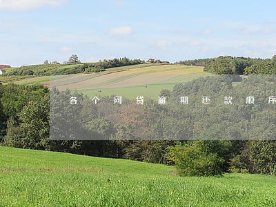 各个网贷逾期还款顺序 各个网贷逾期还款顺序