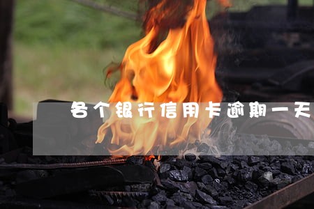 各个银行信用卡逾期一天 各个银行信用卡逾期一天