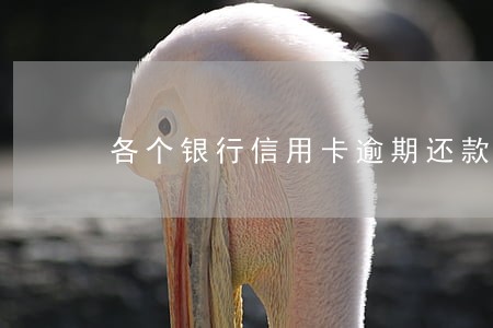 各个银行信用卡逾期还款利息 各个银行信用卡逾期还款利息