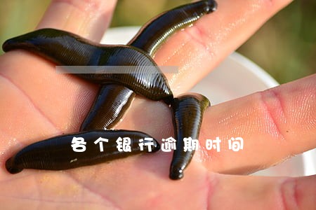 各个银行逾期时间 各个银行逾期时间